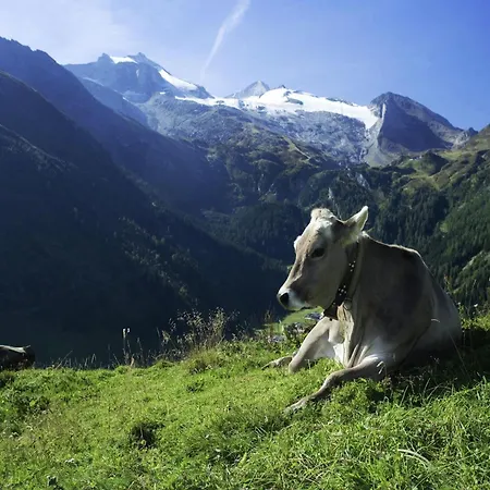 In Aschau Near Slopes *